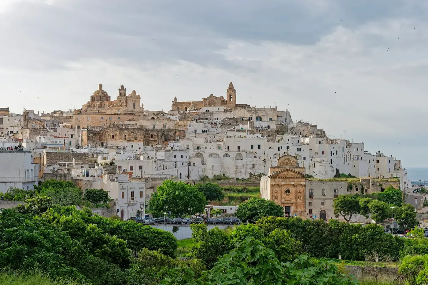 Ostuni, the white town, on its hill above the olive groves