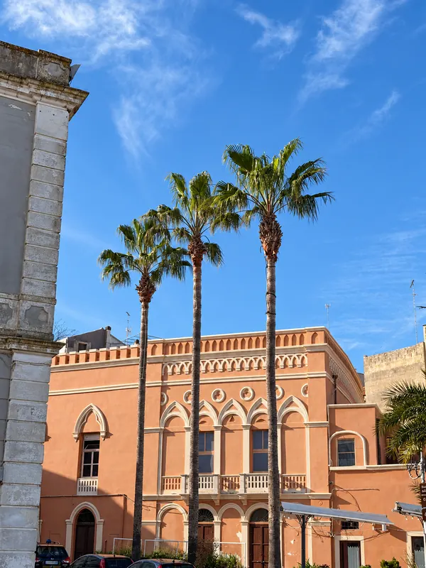 Palm trees and old palazzi in Brindisi